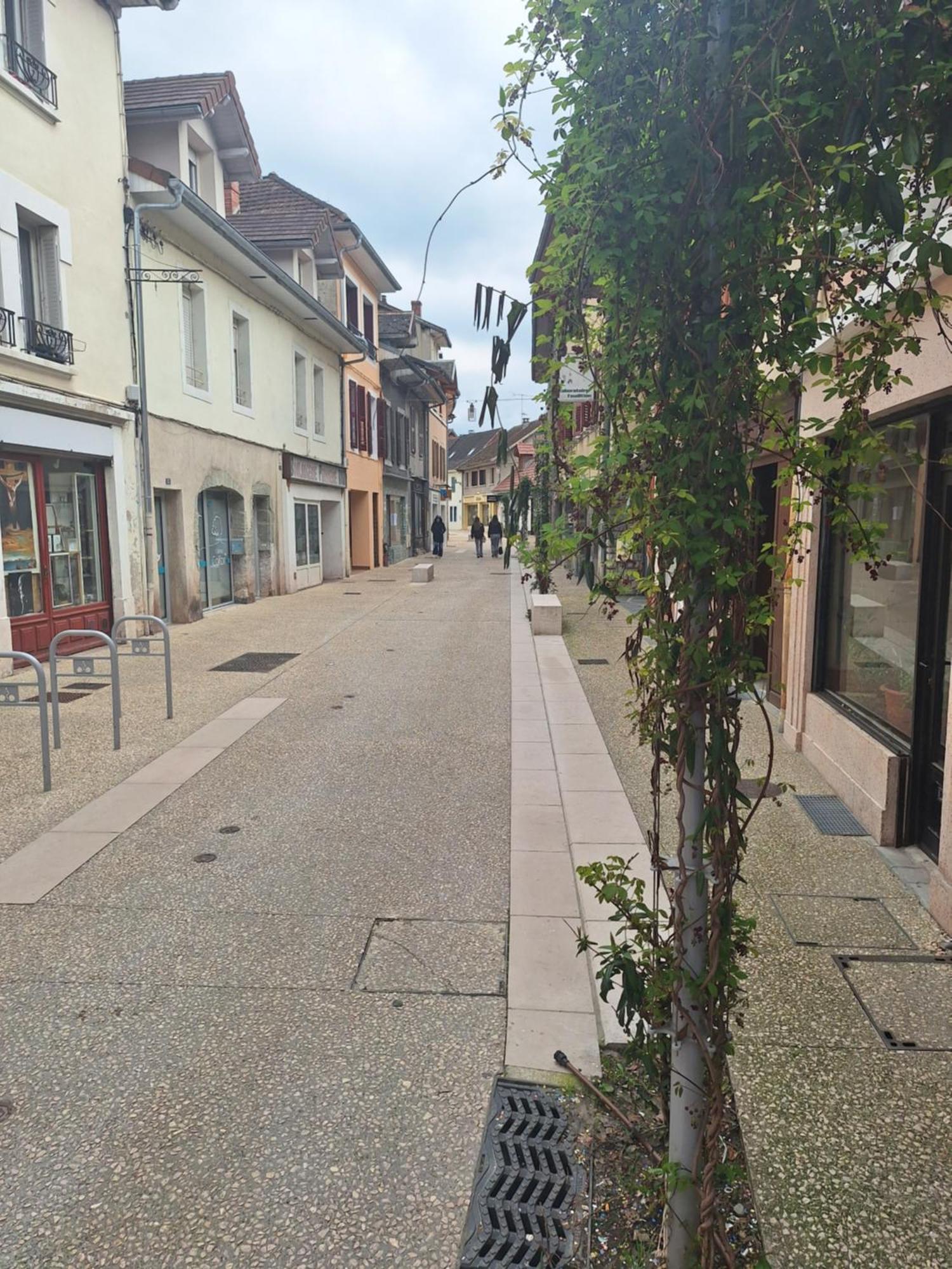 Apartamento Chez Eric - L'Atypique Rumilly  Exterior foto