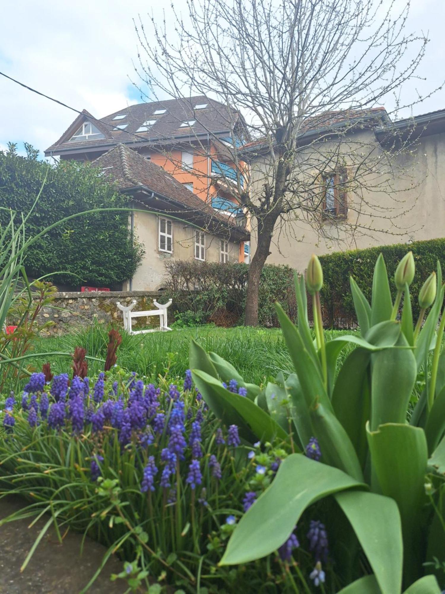Apartamento Chez Eric - L'Atypique Rumilly  Exterior foto